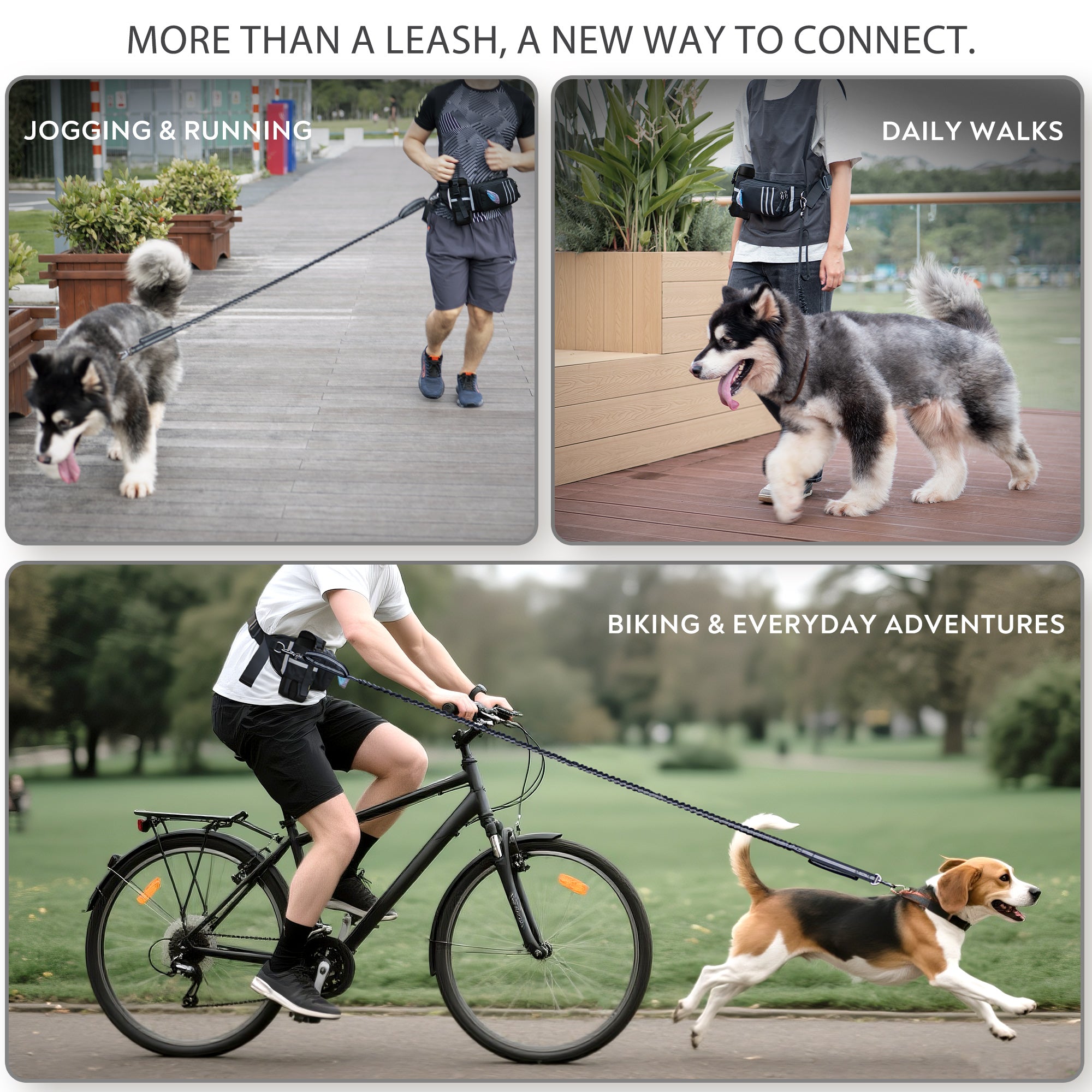 PetVenture™ Correa Full Adventure