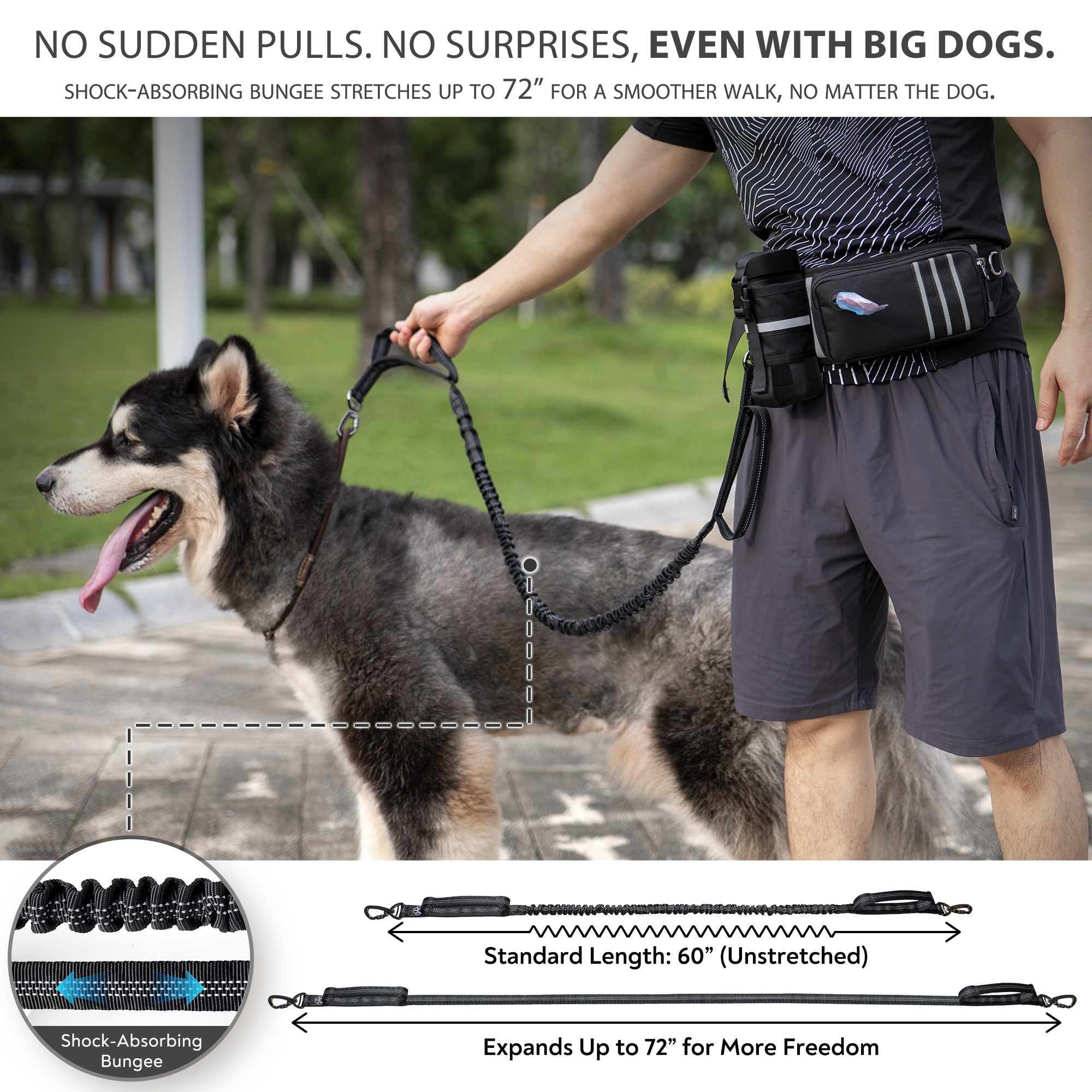 PetVenture™ Correa Full Adventure