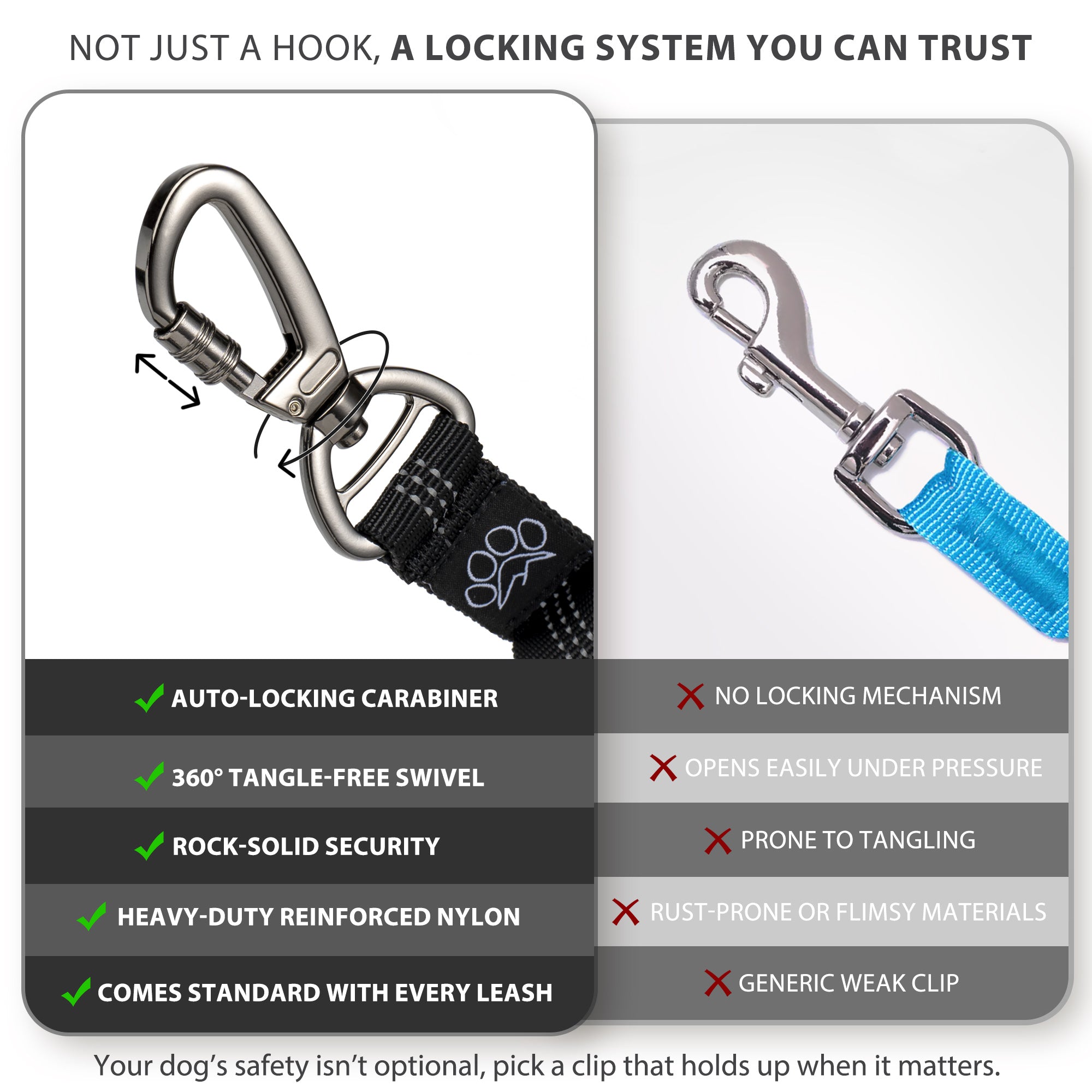 PetVenture™ Correa Full Adventure