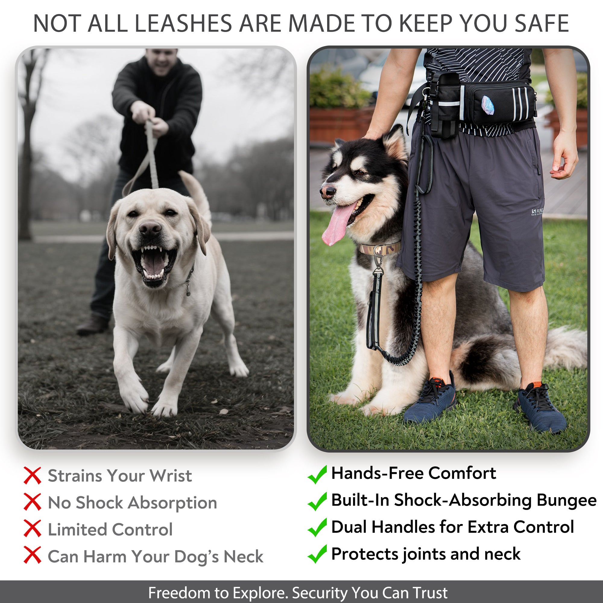 PetVenture™ Correa Full Adventure